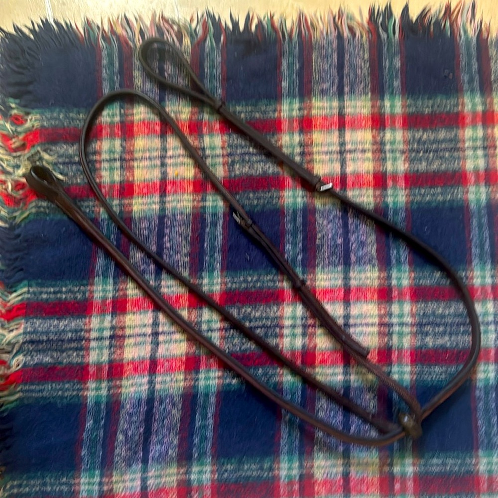 Large horse size standing martingale.